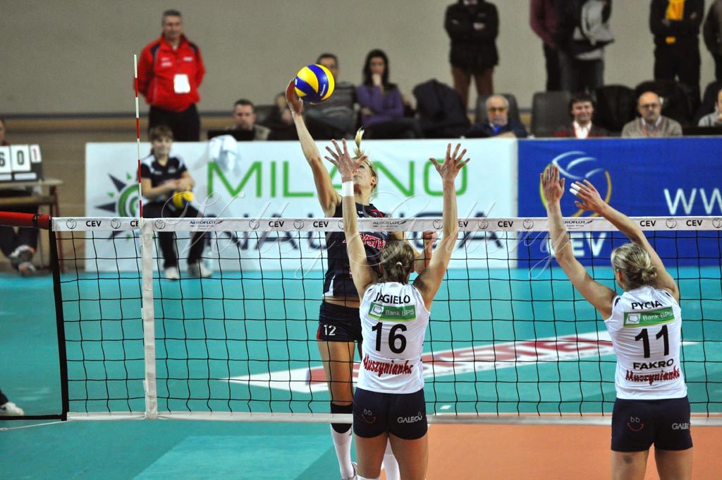 Asystel NO Muszynianka (08)